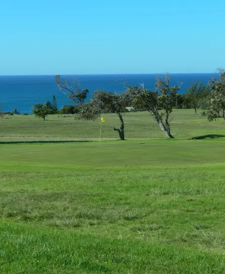 Jeffreys Bay Golf Club ocean View