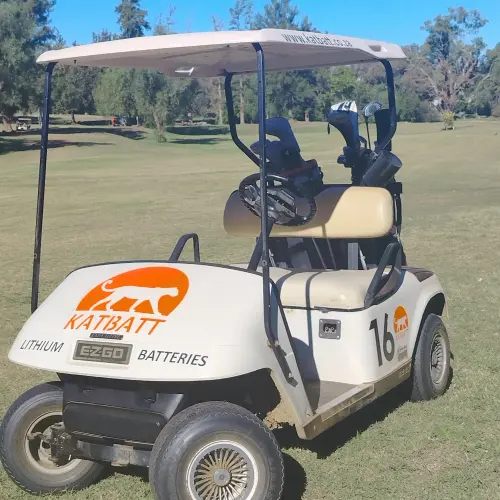 Hero Section With Lithium Battery Golf Cart